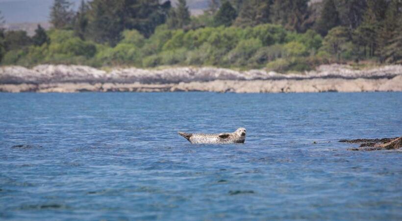 בית מלון כפרי Parknasilla Resort & Spa