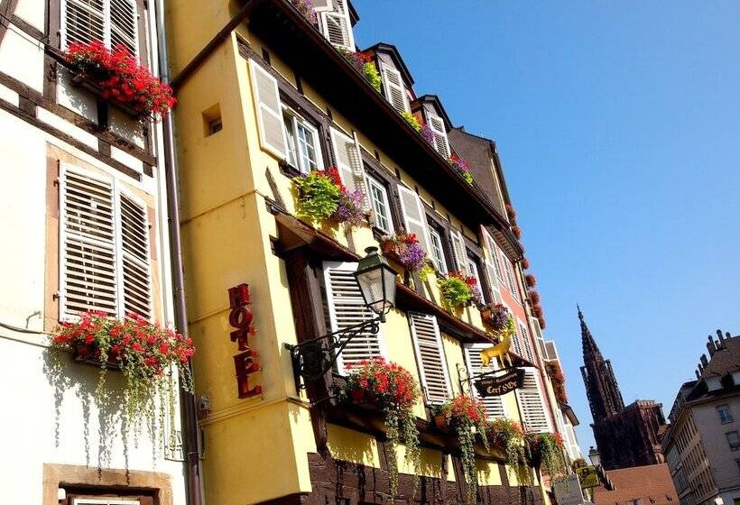 هتل Logis Hôtel Au Cerf d'Or