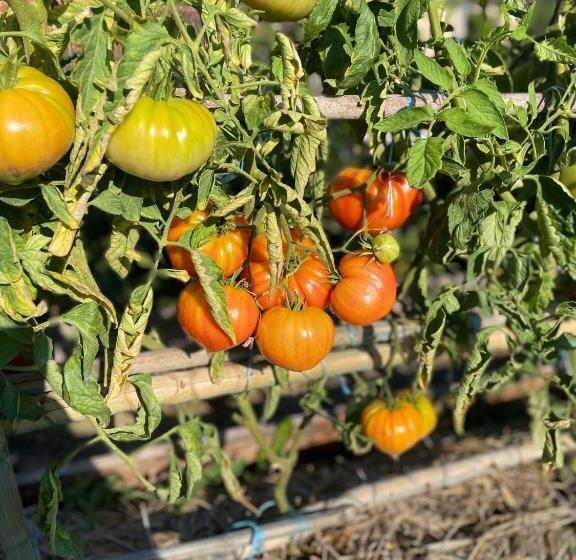 Logis Grand Hotel Pelisson