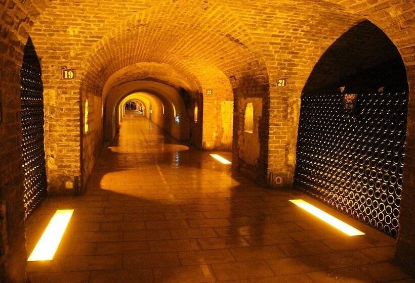 هتل De Champagne
