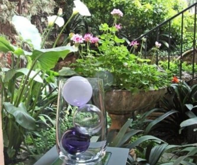 Fotos del hotel Golden Tulip Cannes  De Paris:  24