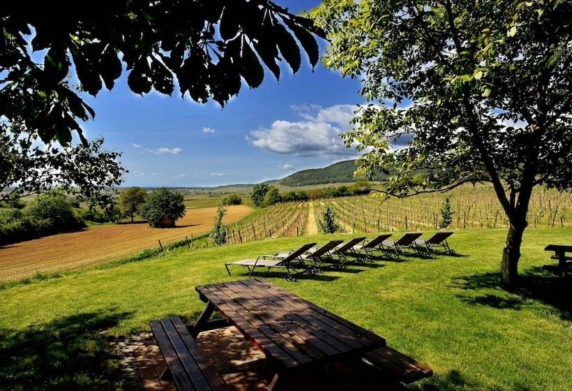 酒店 Hôtel Du Bollenberg   Restaurant Côté Plaine   Spa De La Colline