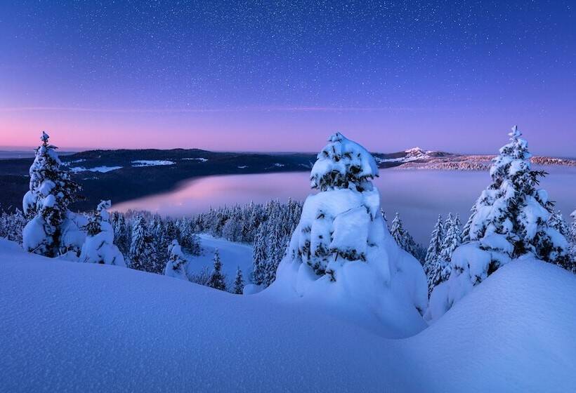 ホテル Chalet Hôtel La Mainaz Restaurant & Resort