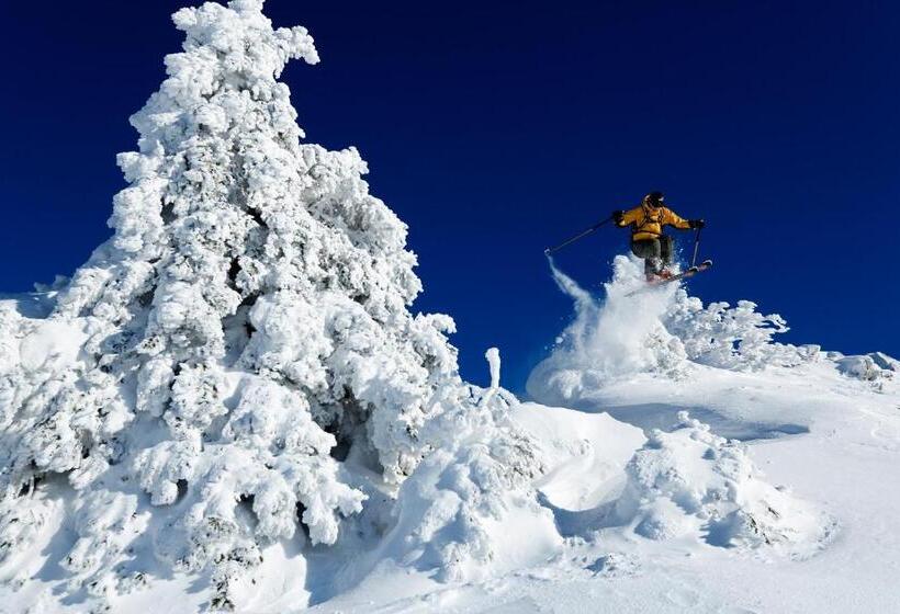 ホテル Chalet Hôtel La Mainaz Restaurant & Resort