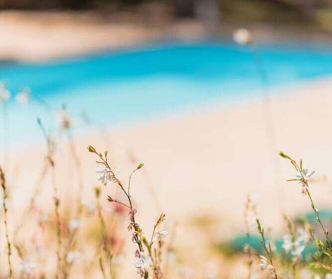 فندق Domaine D Auriac  Relais & Chateaux