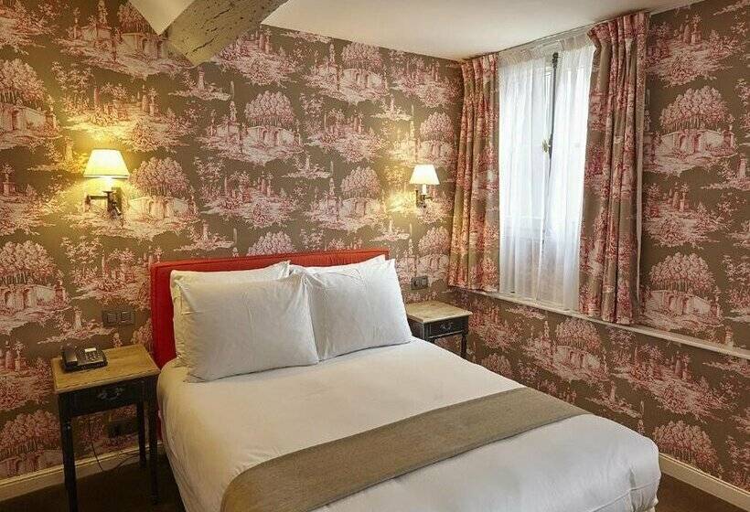Fotos del hotel Hôtel Du Danube Saint Germain:  11