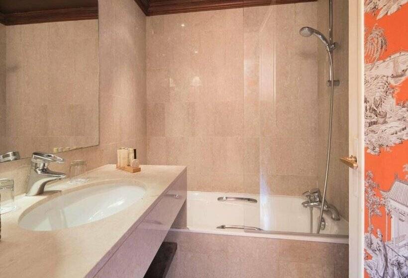 Fotos del hotel Hôtel Du Danube Saint Germain:  4