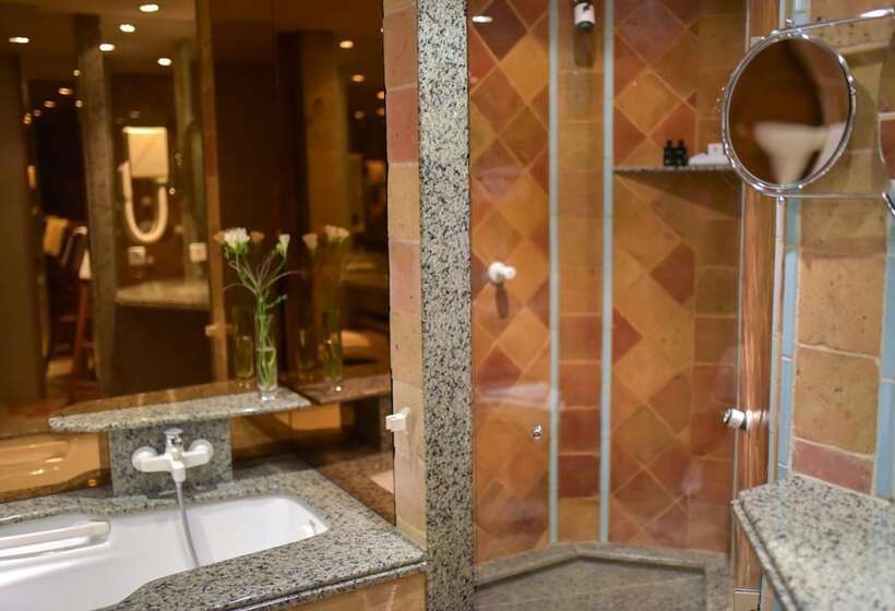 هتل Grand Hôtel Du Lion D Or