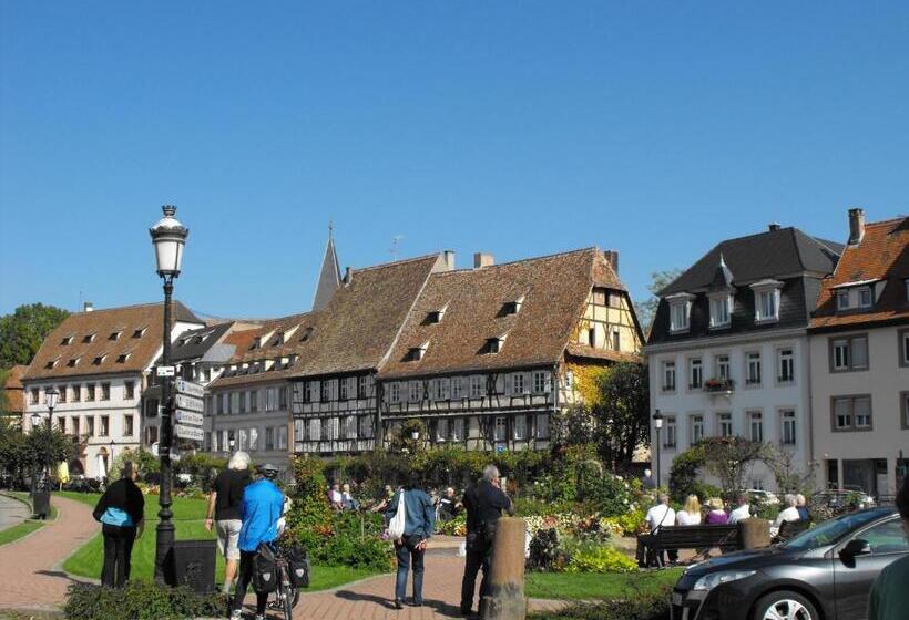 هتل Hôtel D Alsace