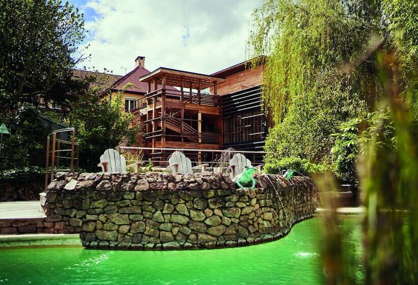 هتل Relais Bernard Loiseau