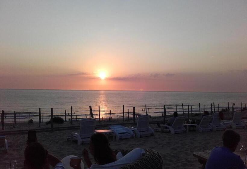 호텔 Restaurant La Forestiere