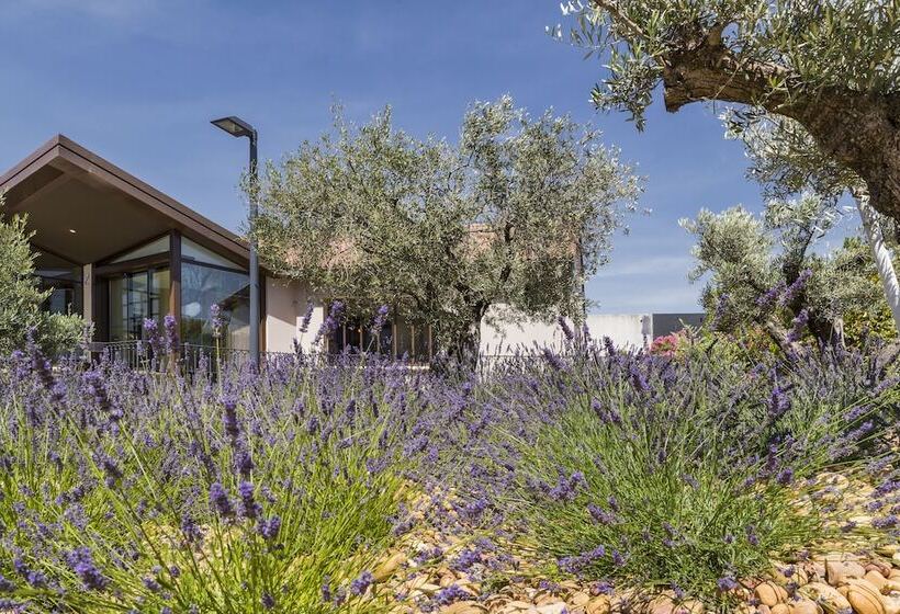 호텔 Terre De Provence Hôtel & Spa