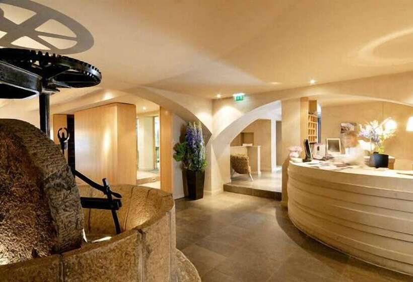 בית מלון כפרי De Mougins