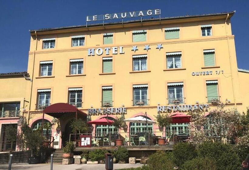هتل Hôtel Le Sauvage