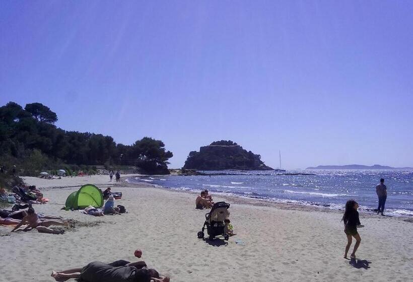 ホテル Hôtel Les Palmiers