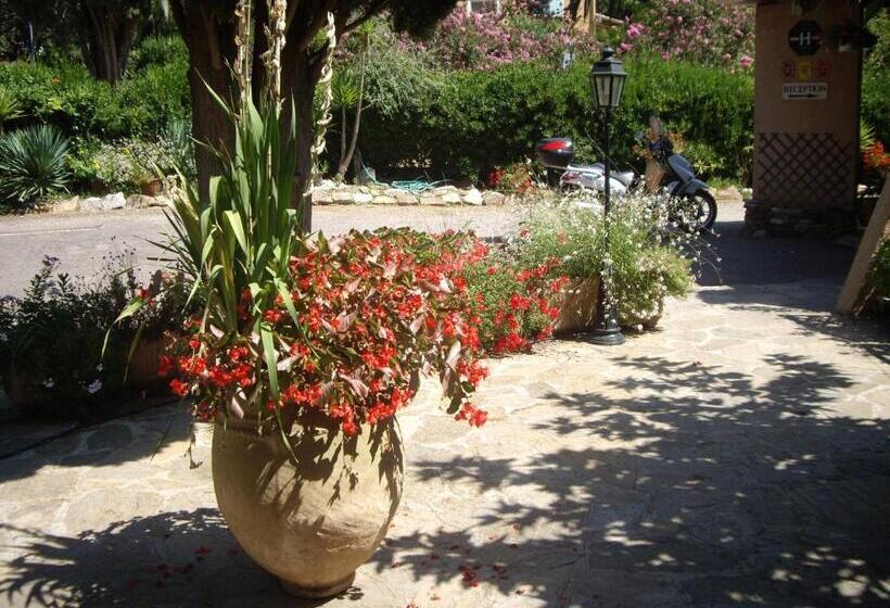 ホテル Hôtel Les Palmiers