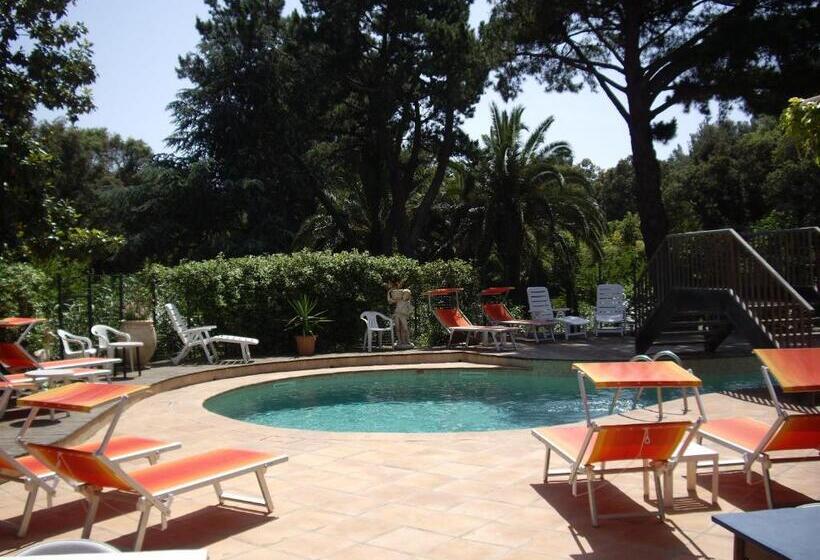 ホテル Hôtel Les Palmiers