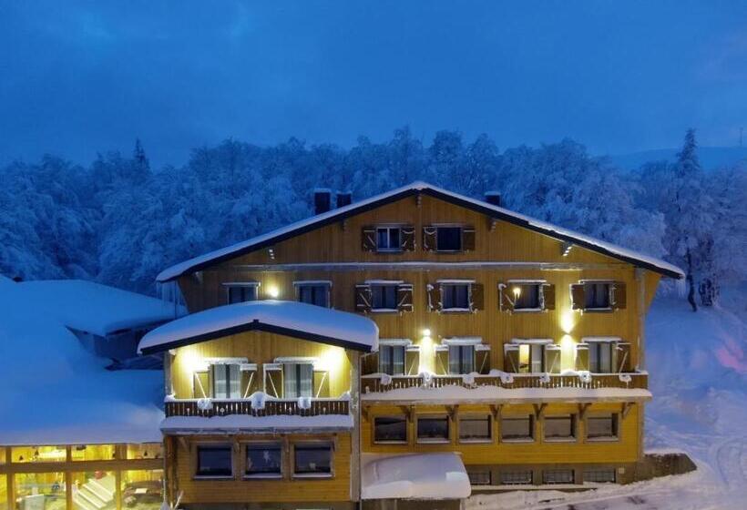 酒店 Hôtel Restaurant Wolf