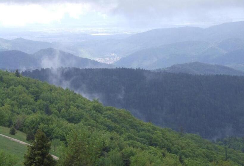 酒店 Hôtel Restaurant Wolf