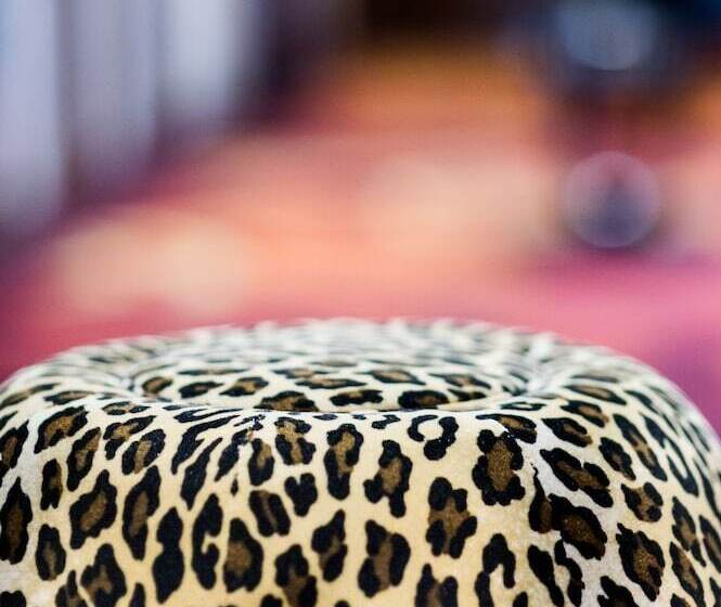 Fotos del hotel Mercure Plaza Biarritz Centre:  31 Fotos del hotel Mercure Plaza Biarritz Centre:  31