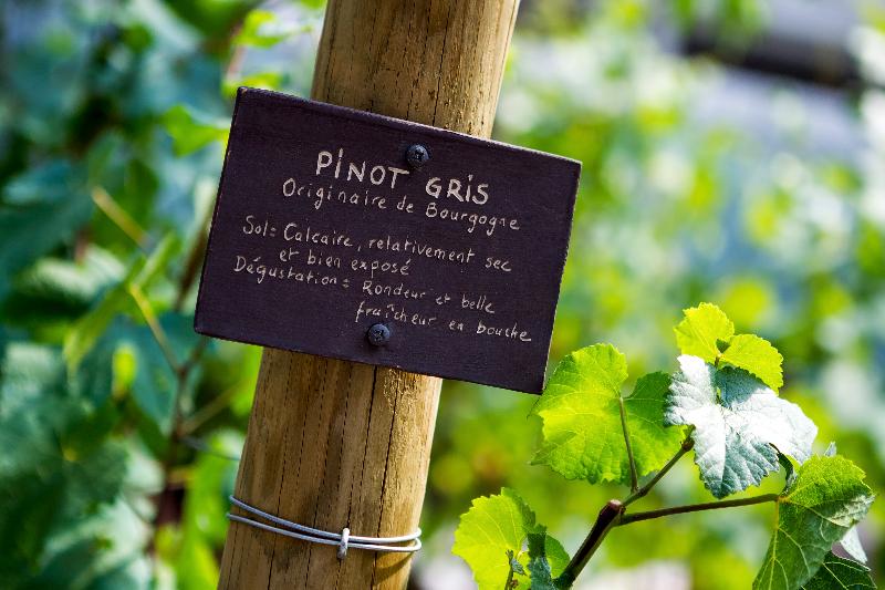 هتل Sofitel Strasbourg Grande Ile