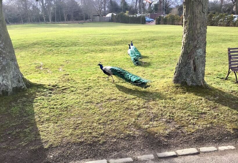 Fotos del hotel Prestonfield House:  17