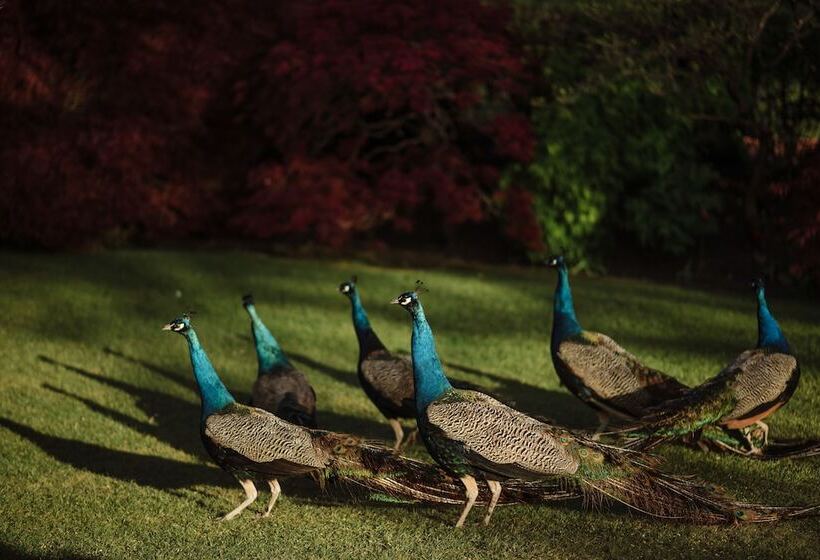 Fotos del hotel Prestonfield House:  3