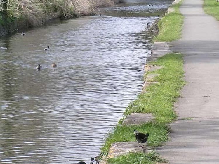 בית מלון כפרי The Casterbridge