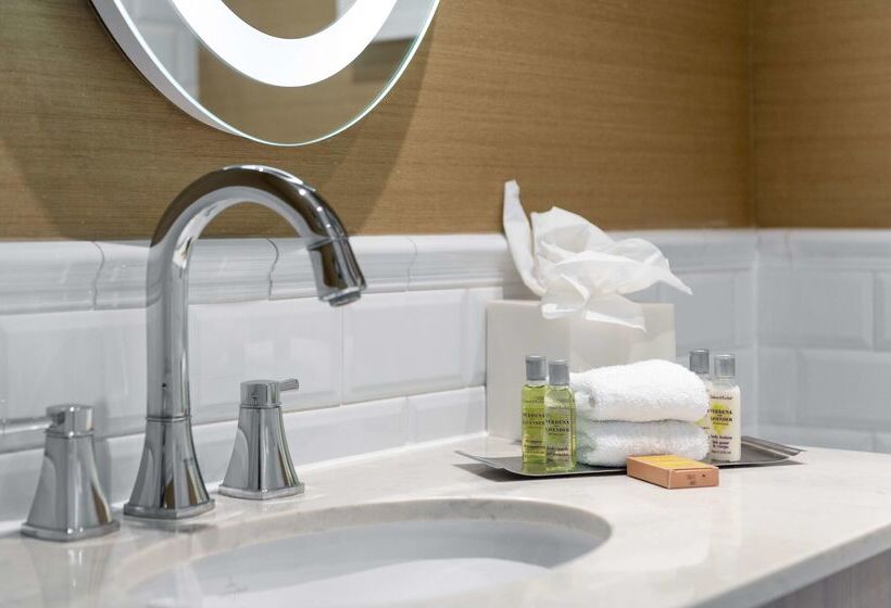 Fotos del hotel Hilton London Hyde Park:  103