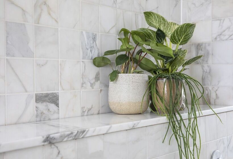 هتل Numa London Bloomsbury