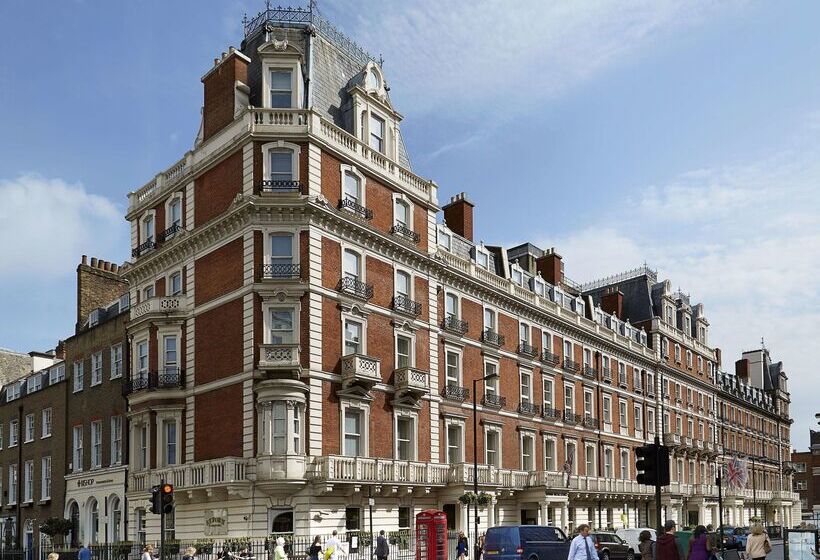 Fotos del hotel The Mandeville:  23