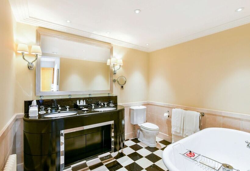 Fotos del hotel The Savoy:  23