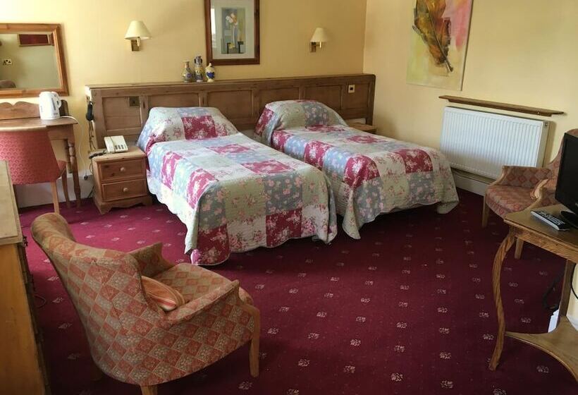 هتل The Wynnstay
