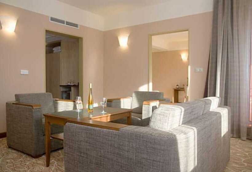 Dráva Hotel Thermal Resort