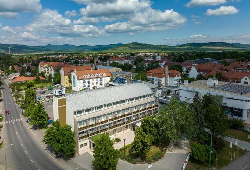 هتل Bodrog Wellness & Elix Spa