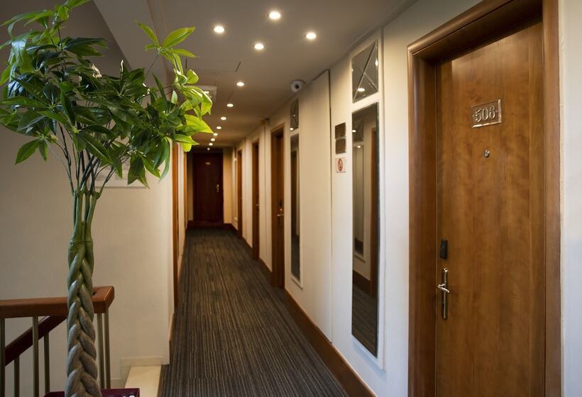 Fotos del hotel Ilisia:  8