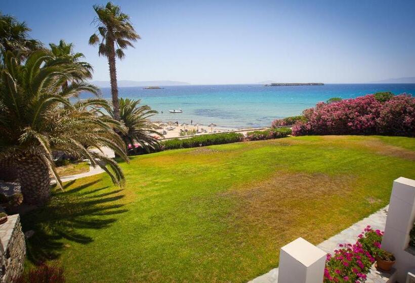 فندق Paros Philoxenia