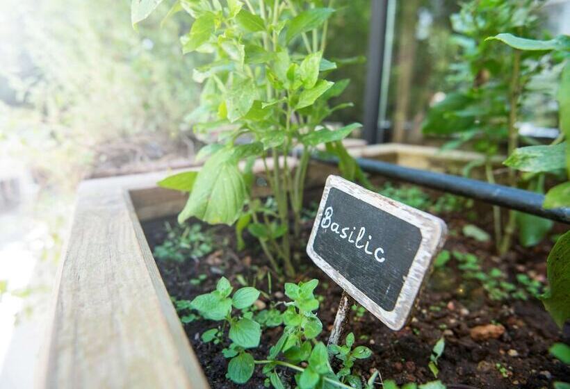 Fotos del hotel Novotel Athenes:  41