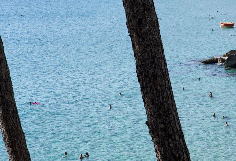 استراحتگاه White Rocks Hotel Kefalonia