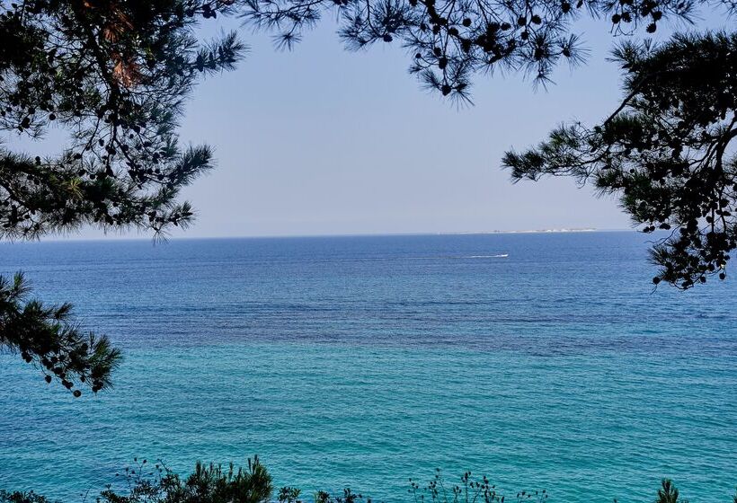 استراحتگاه White Rocks Hotel Kefalonia