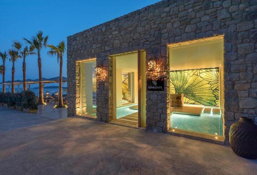 Santa Marina, A Luxury Collection Resort, Mykonos