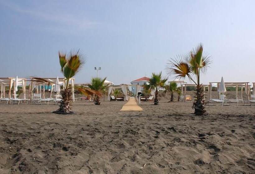 酒店 Domizia Palace