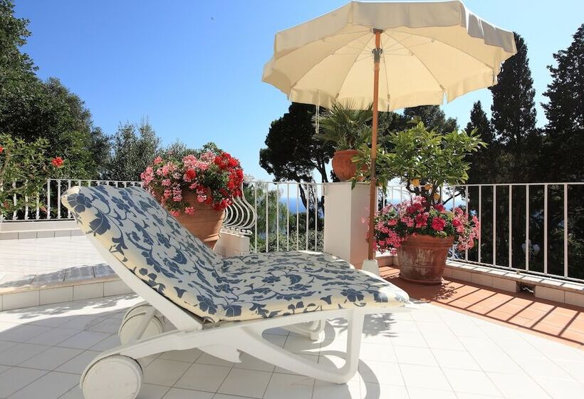 ホテル Villa Brunella