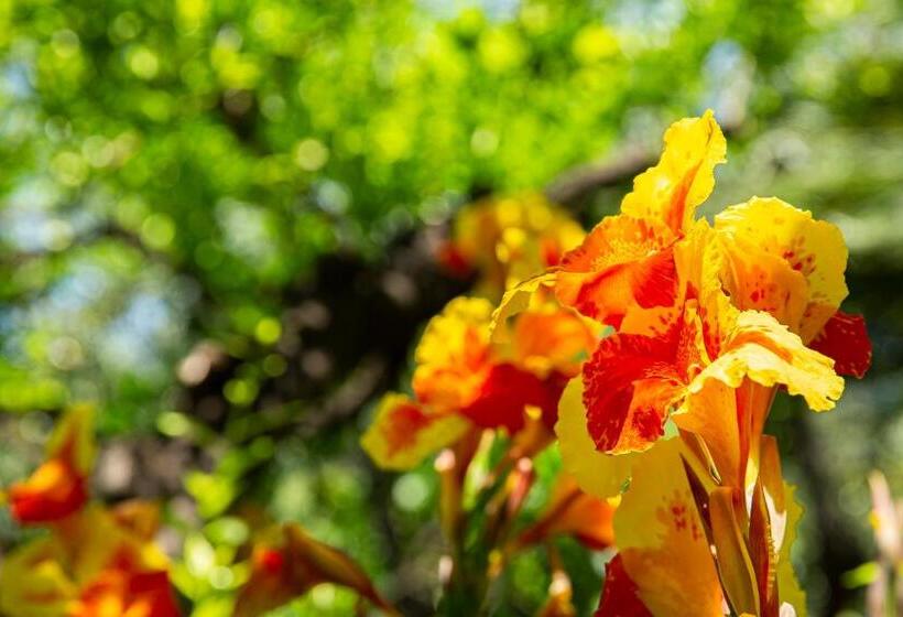 هتل Villa Elisa & Spa