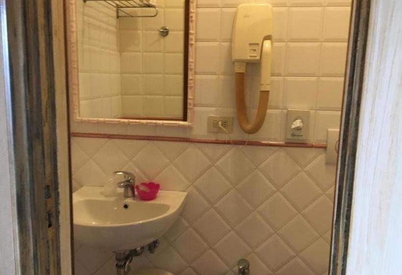 Fotos del hotel Andrea:  8