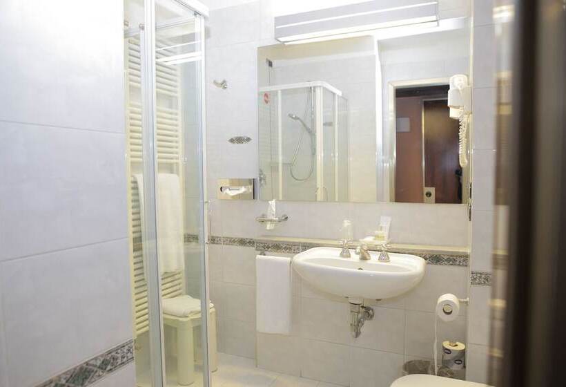 Fotos del hotel Bristol:  14