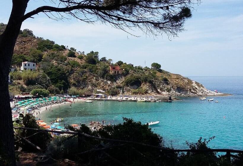 酒店 Cernia Isola Botanica