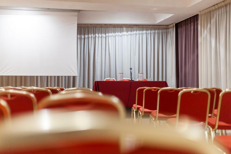 Fotos del hotel Europa Palace:  27