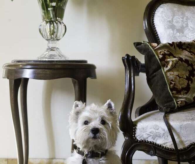 Fotos del hotel Principe:  21