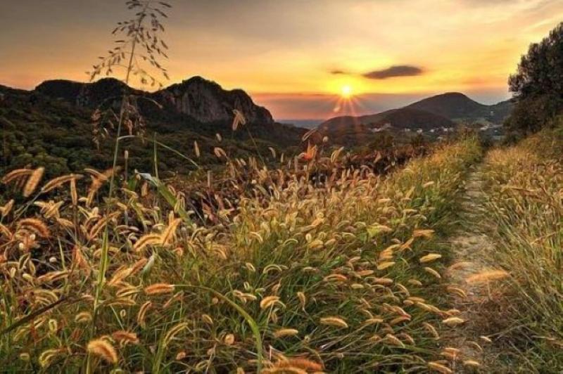 酒店 Four Points By Sheraton Padova